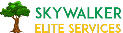 Skywalker Elite Services